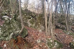 IMG_20200111_130709