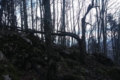 IMG_20200111_131849
