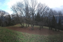PANO_20200111_132539